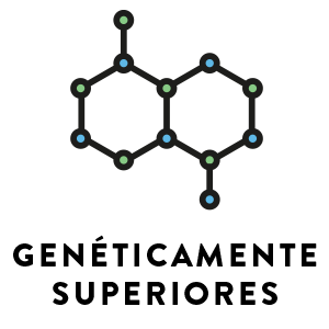 semilla 1